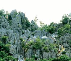 千岛湖石林