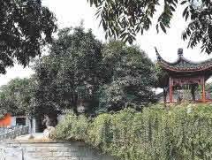 清河坊